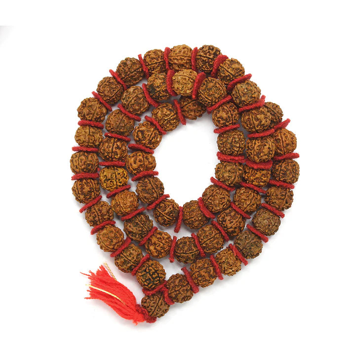 5 Mukhi Siddha Jaap Mala