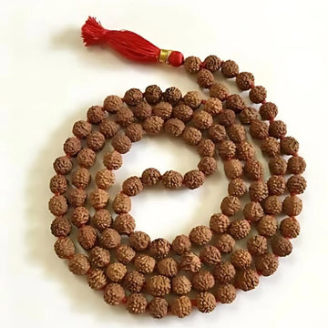 7 Mukhi Siddh Jaap Mala | Rudraksha Mala of Goddess Lakshmi for Wealth & Spiritual Growth