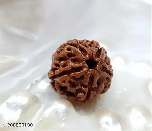 5 Mukhi Nepali Siddh Rudraksha | Kalagni Rudra Bead for Peace, Intellect & Awareness