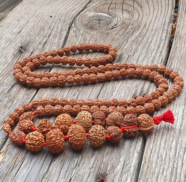 1 - 14 Mukhi Rudraksha Mala (Indonesia Origin)