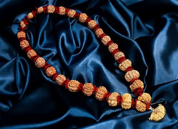 Siddha 1–14 Mukhi Rudraksha Mala | Sarva Siddha Shakti Mala with Lab Certification