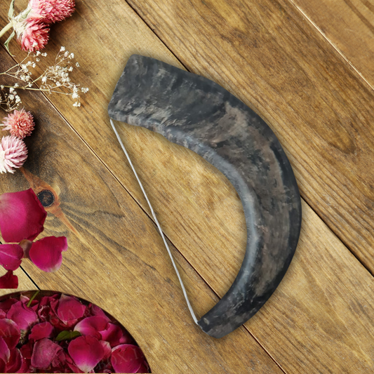 Big Size Singhi | Traditional Ritual Instrument for Naad & Pooja