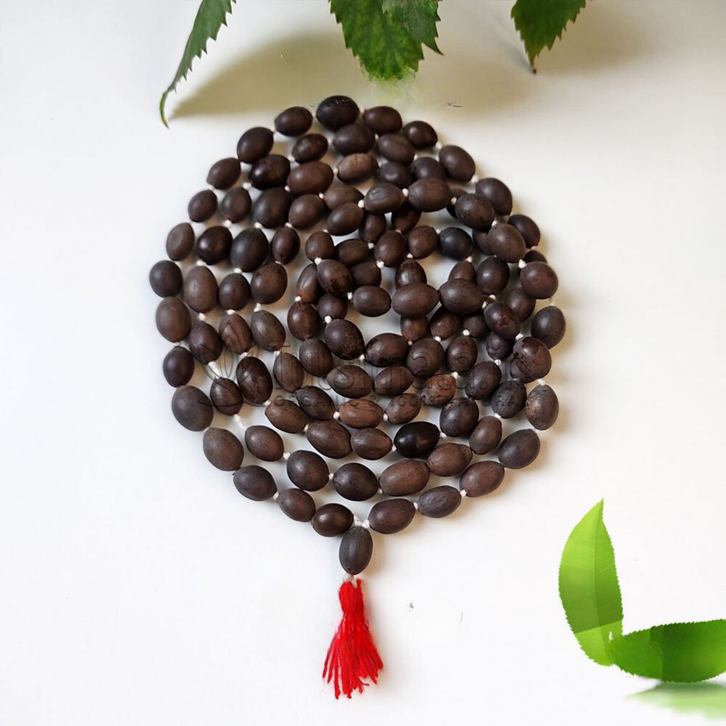 Siddh Natural Kamal Gatta Mala | 108 Lotus Seed Beads for Lakshmi Worship & Prosperity