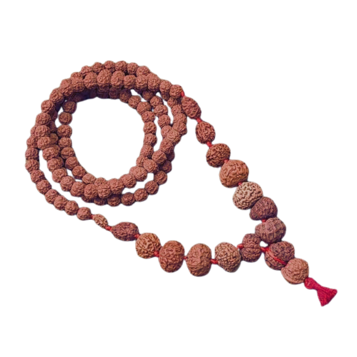 1–14 Mukhi Rudraksha Mala (Indonesia Origin) | Sarva Siddha Mala with Gauri Shankar & Ganesh