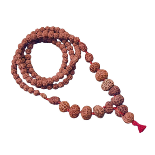 1–14 Mukhi Rudraksha Mala (Indonesia Origin) | Sarva Siddha Mala with Gauri Shankar & Ganesh