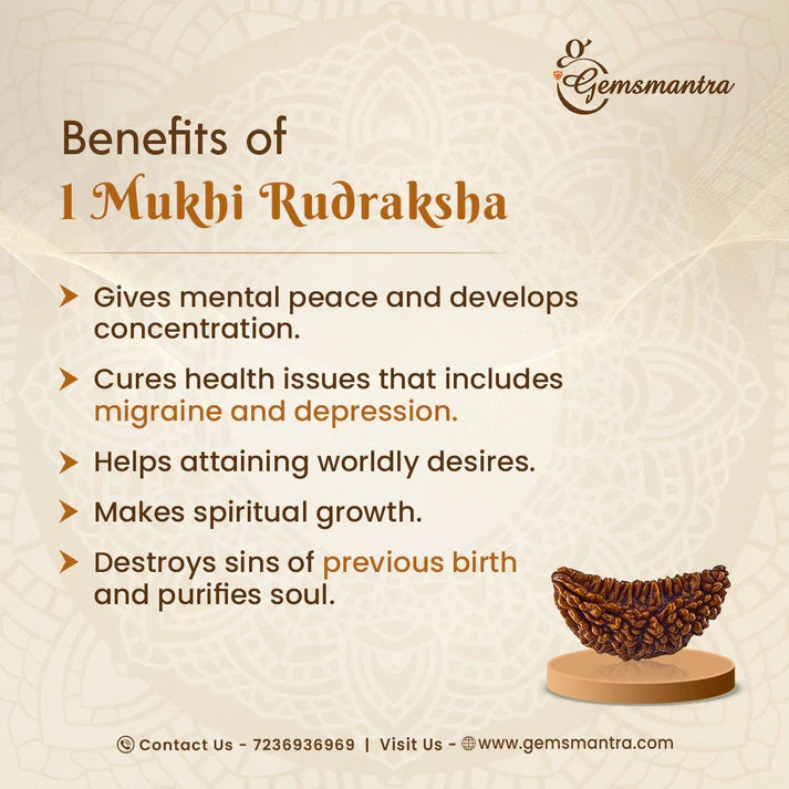 1 Mukhi SIddh Rudraksha